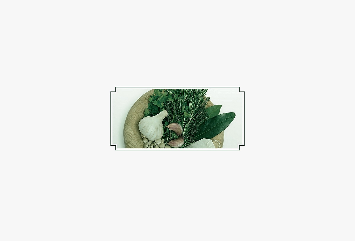 某药品研发制造企业VI设计（图ZMTIyODI5OTI=） - 品牌 - 站酷设计师十五哥FC原创素材 - 站酷ZCOOL