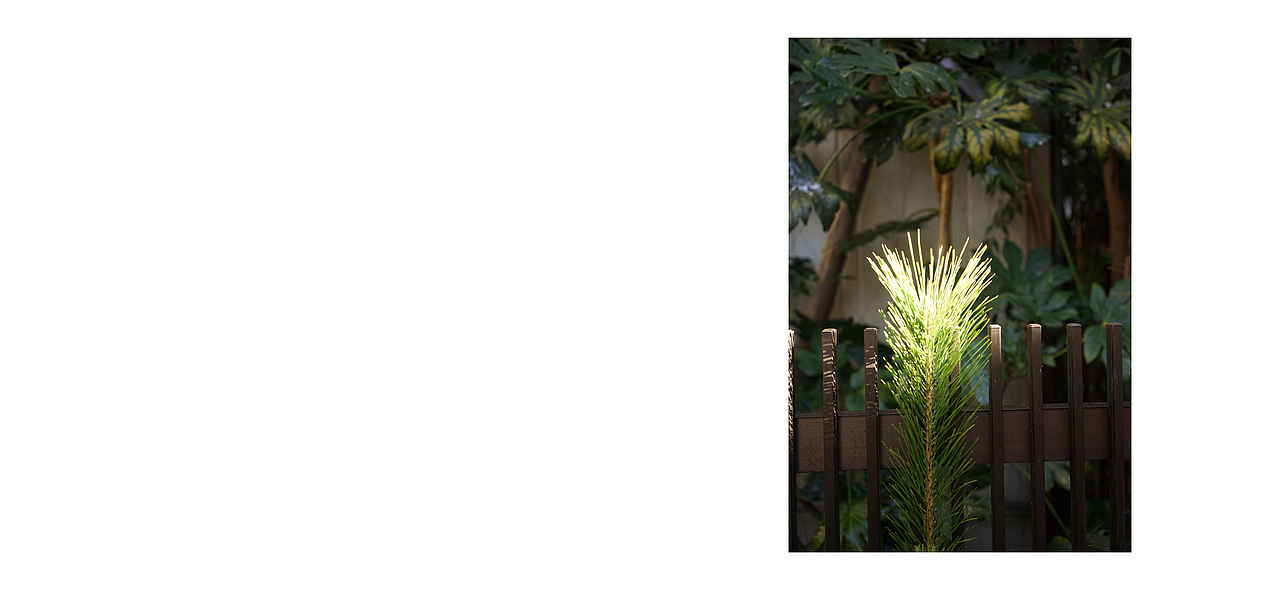 《i Hope》主题摄影作品（图ZMjUwODA0MjA0） - 其他摄影 - 站酷设计师sun_mooon原创素材 - 站酷ZCOOL