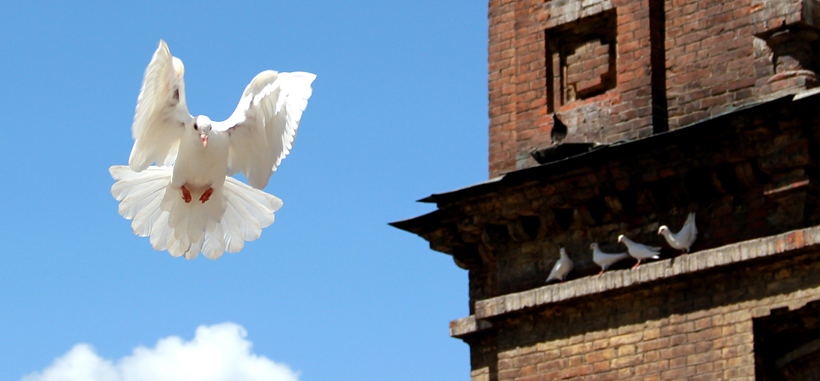 动、静（图ZNzExODc1Ng==） - 风光摄影 - 站酷设计师首巷设计原创素材 - 站酷ZCOOL