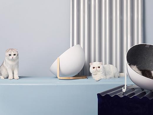 猫都是艺术家，猫窝理应成为一件艺术品（个人主页-ZMjY4MjcyNjA=） - 产品摄影 - 站酷设计师FT尾巴生活原创素材 - 站酷ZCOOL