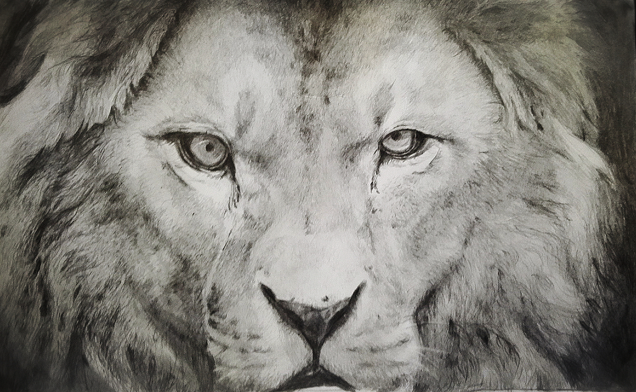 自画自的（图ZNzk1OTcyMjg=） - 创作习作 - 站酷设计师zhoujiedong0343原创素材 - 站酷ZCOOL