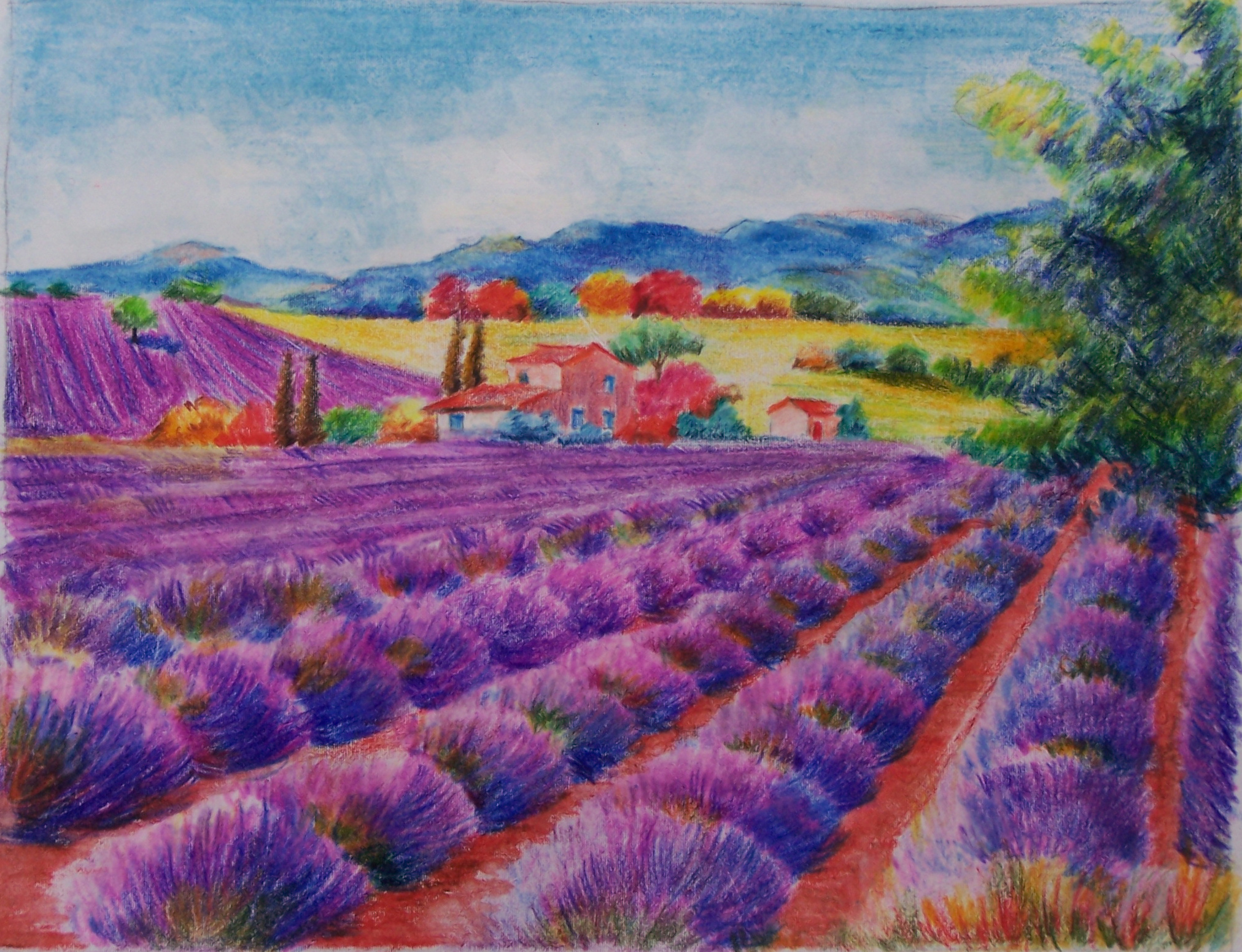 法国画家jean marc janiaczyk水性彩铅临摹画作