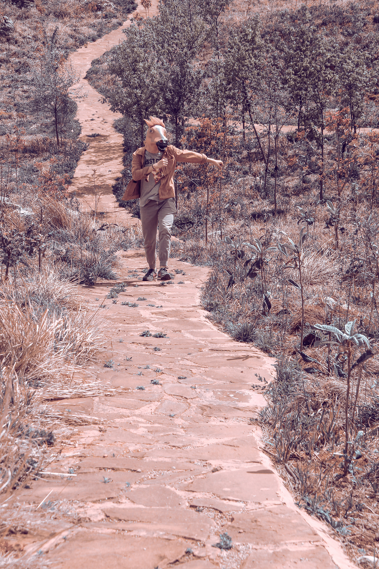 野里 | 姓张的马先生