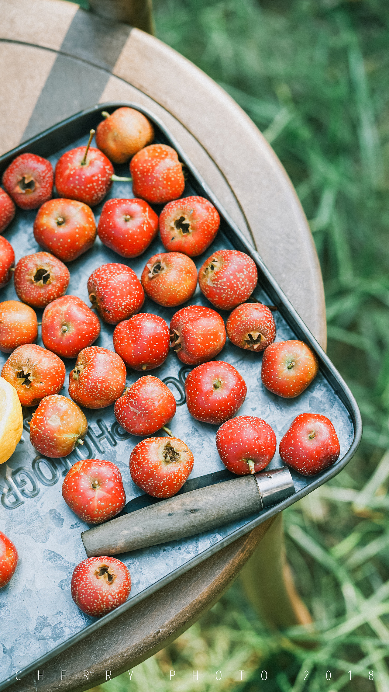 秋日，不负阳光（图ZMTMxMDkxOTI0） - 产品摄影 - 站酷设计师车厘子姑娘原创素材 - 站酷ZCOOL