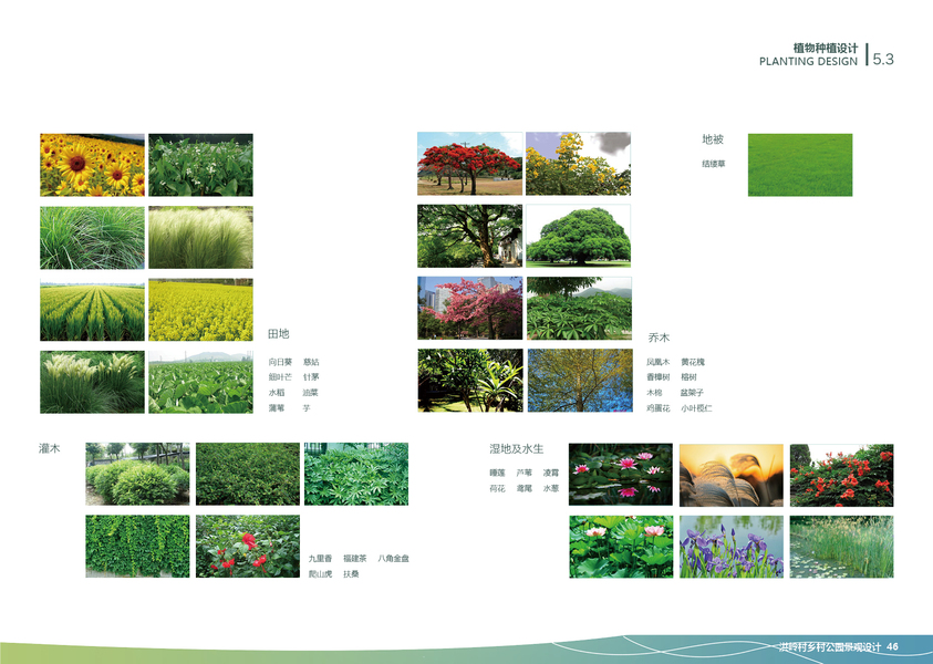 红岭村乡村公园景观设计