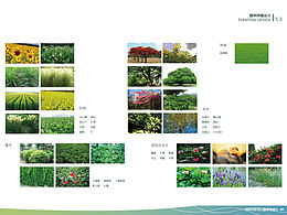 红岭村乡村<b class='hightlight'>公园</b>景观设计