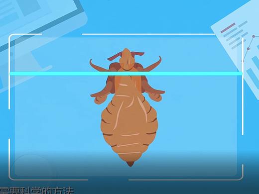 微课-什么是瞌睡虫（个人主页-ZMzMwMTg3MDQ=） - 栏目片头 - 站酷设计师差C很多_先生原创素材 - 站酷ZCOOL