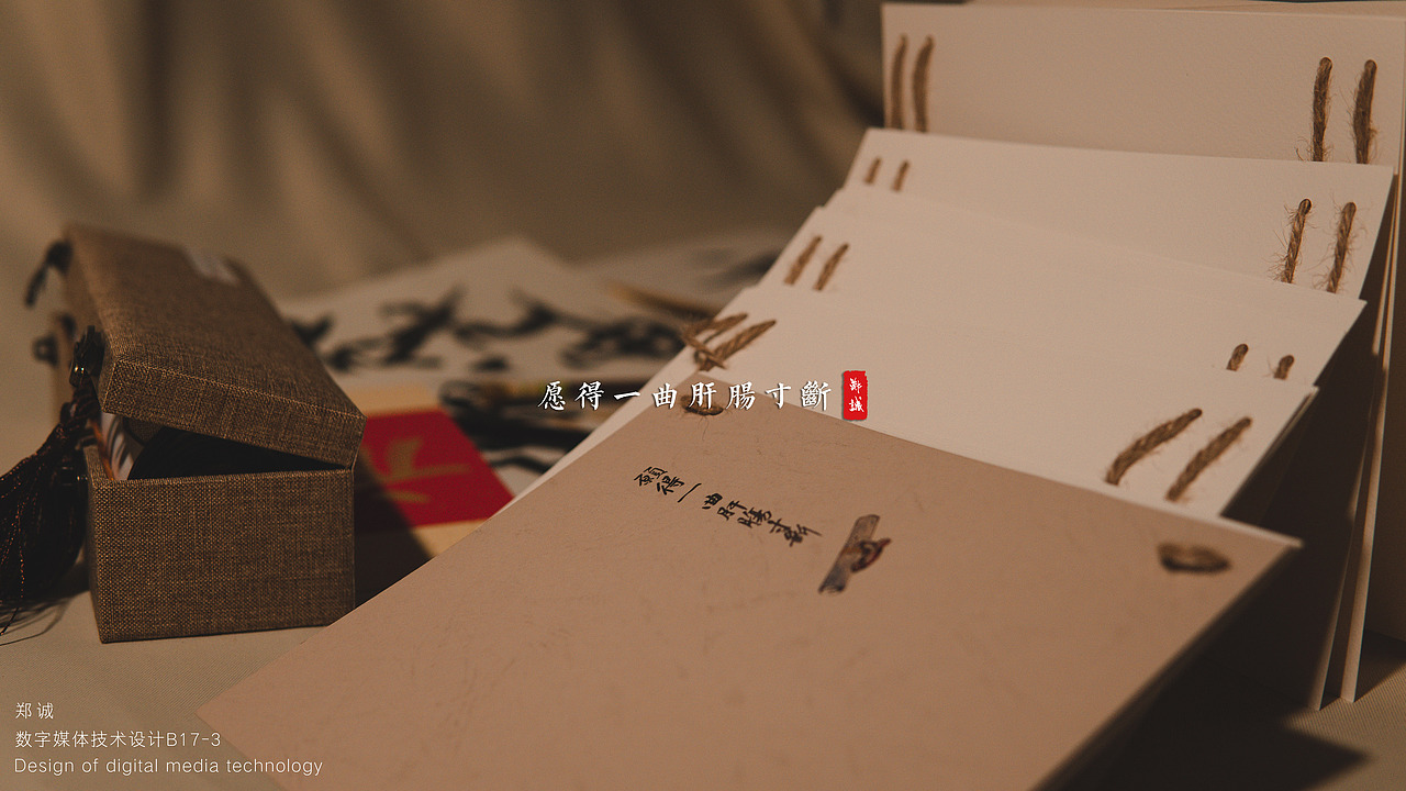 《愿得一曲肝肠寸断》书籍装帧设计摄影 —— 龙鳞装（图ZMTk0NzM0NTA4） - 书籍/画册 - 站酷设计师杰尼老大原创素材 - 站酷ZCOOL