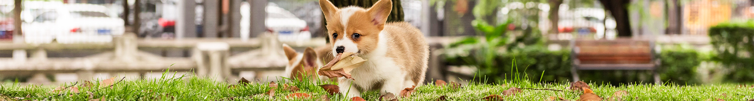 不会拍照的小美工的个人主页（封面预览） - 主页封面设置 - 站酷设计师不会拍照的小美工原创素材 - 站酷ZCOOL