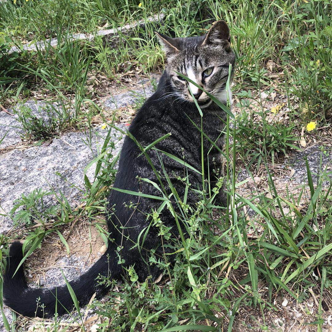 山水之美-从大自然中发现快乐