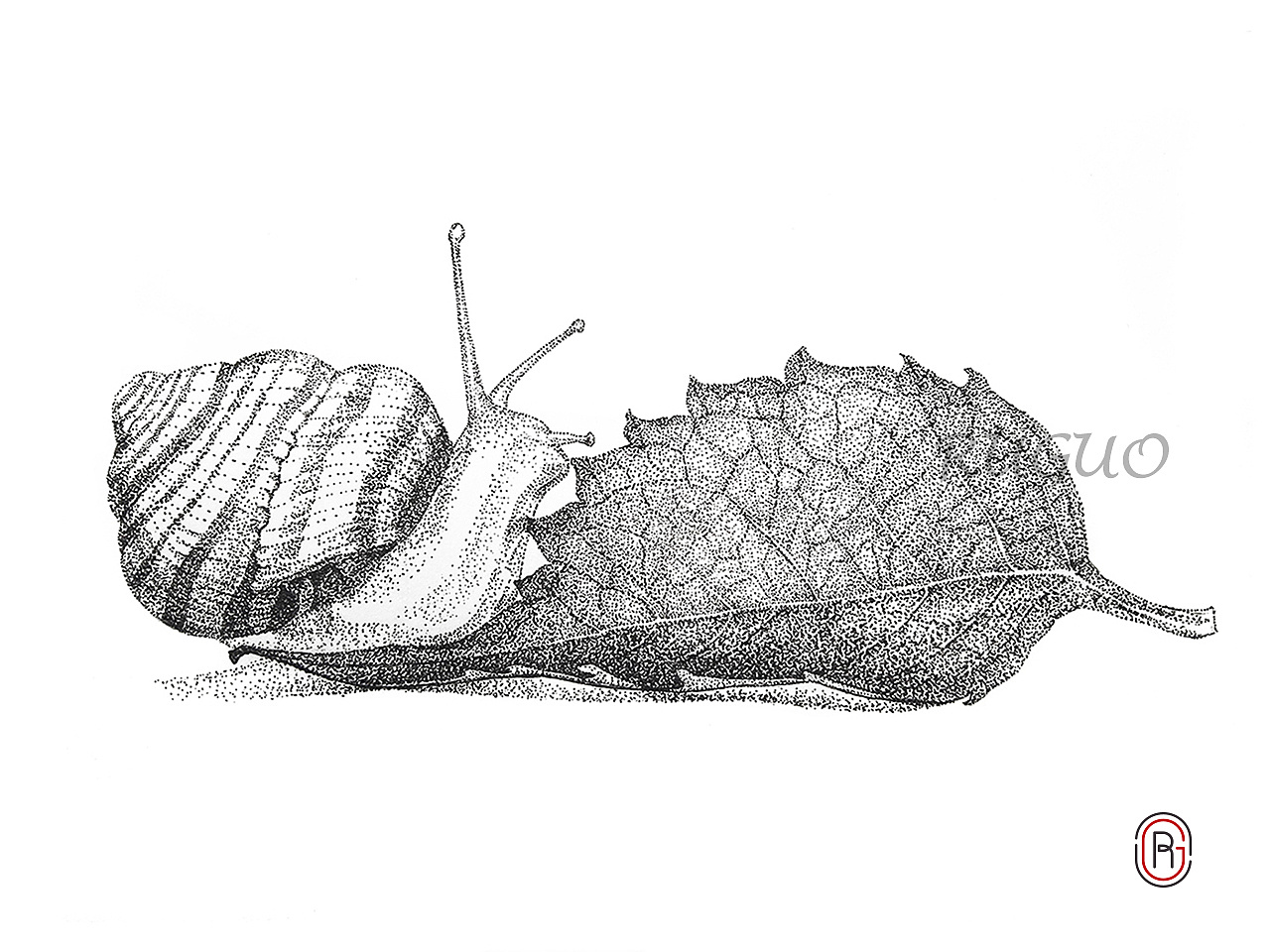 钢笔画动物系列