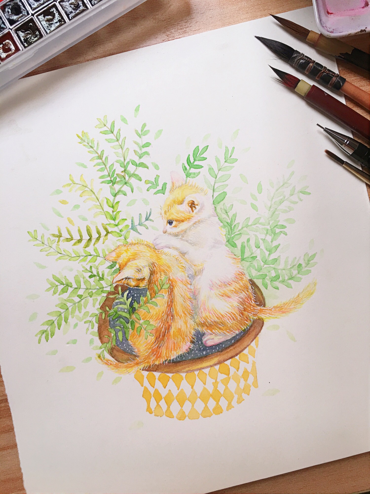 水彩手绘小橘猫