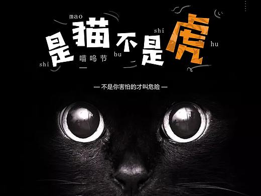 我家猫咪有海报