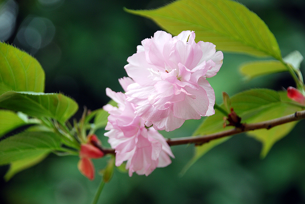 一些随意拍摄的照片，有旅途的、有生活过的城市（图ZMjMzNDc1NTY=） - 风光摄影 - 站酷设计师Chopin萧邦原创素材 - 站酷ZCOOL