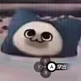 Ditoo的头像