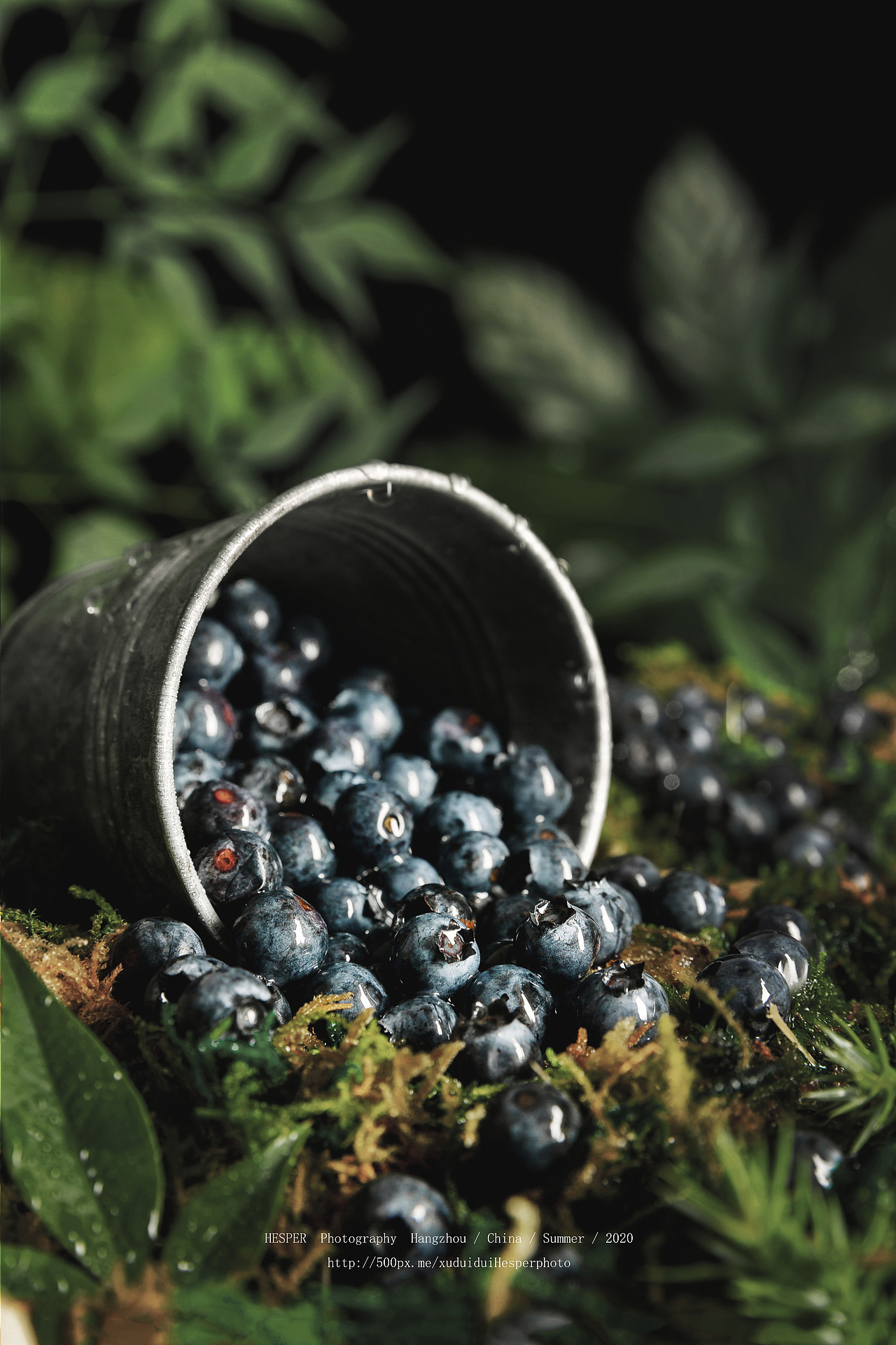 蓝莓|摄影|产品摄影|hesperr_原创作品-站酷zcool