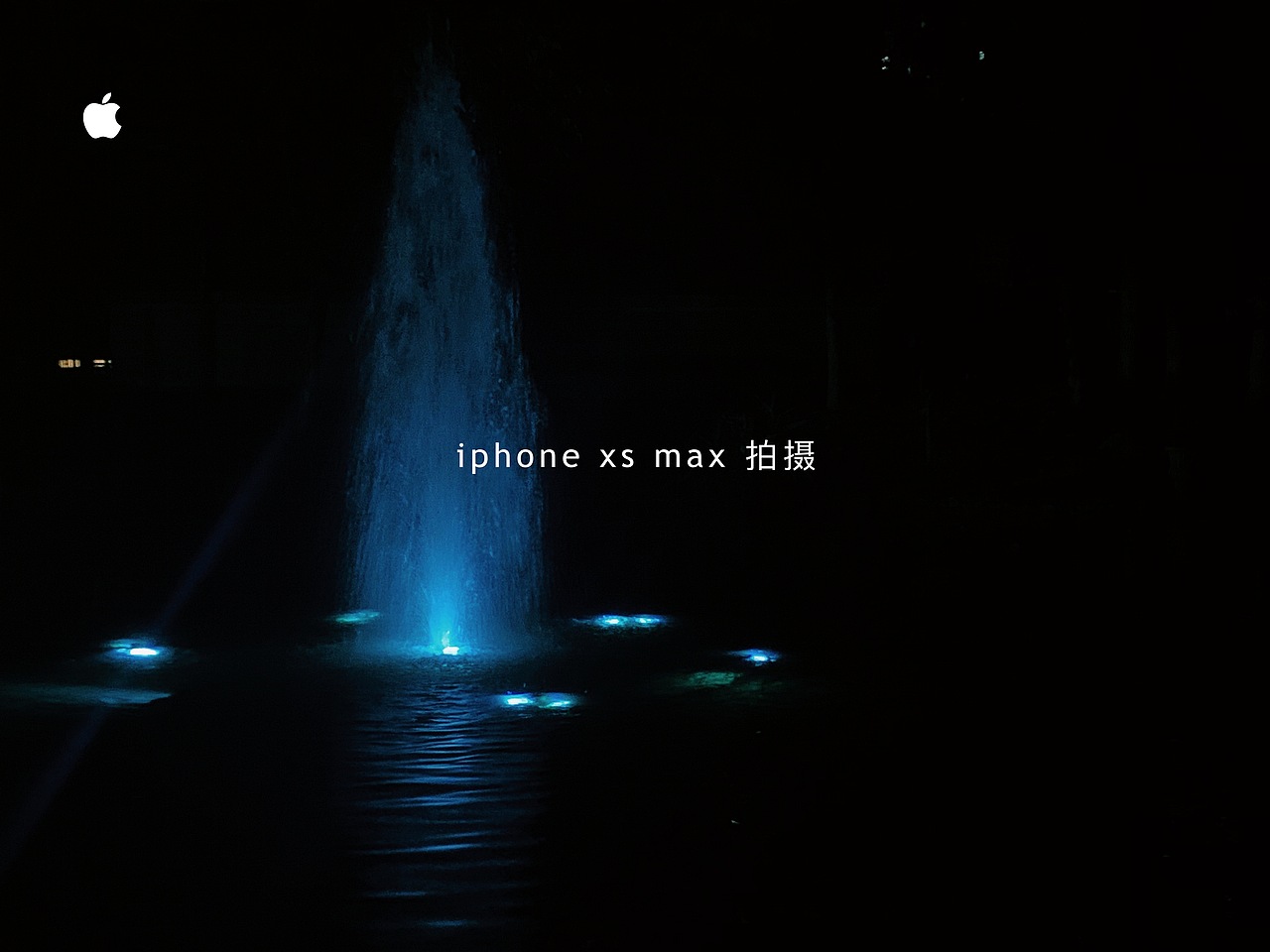 天地有大美而不言