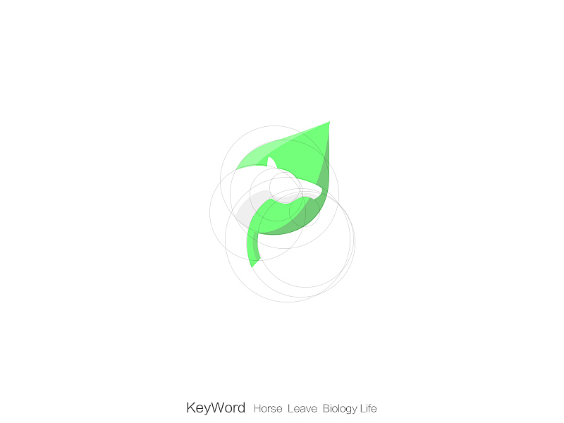 创意图形集|Creative Graphics Collection