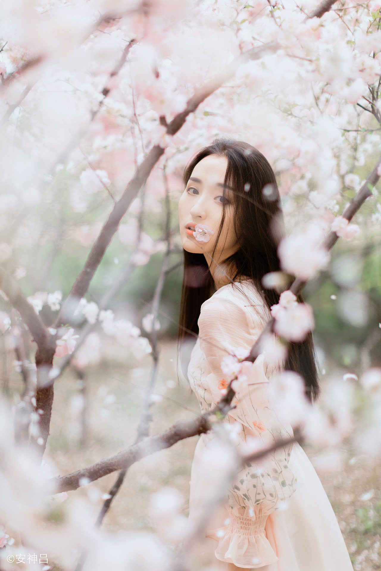 如于人像摄影（图ZNzgyNDYxNTI=） - 人像摄影 - 站酷设计师安神吕原创素材 - 站酷ZCOOL