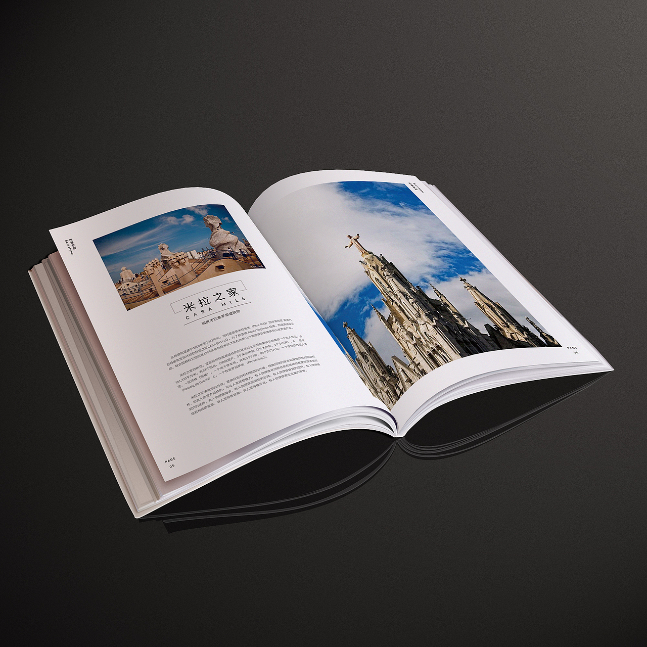 画册排版（图ZMTk0Nzc2NDY4） - 书籍/画册 - 站酷设计师鸡晕君s原创素材 - 站酷ZCOOL