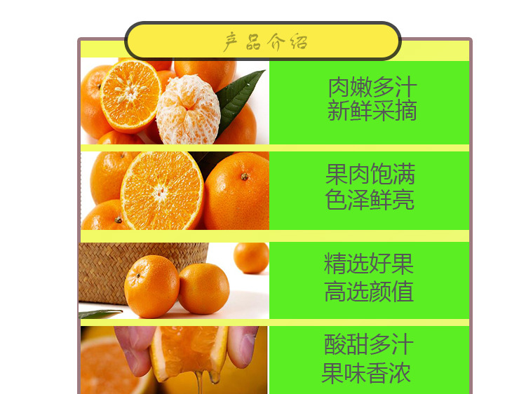 橘子概略页