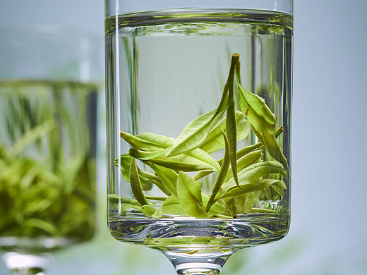 茶 绿茶 茶叶摄影 产品摄影