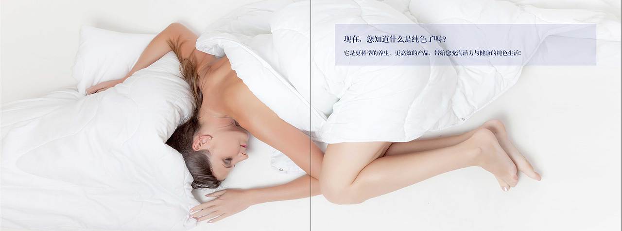 纯色企业画册（图ZMTA5MDYyNjg4） - 品牌 - 站酷设计师LionWong原创素材 - 站酷ZCOOL