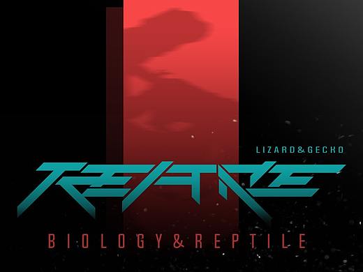 [BIOLOGY]REPTILE爬道入坑指南