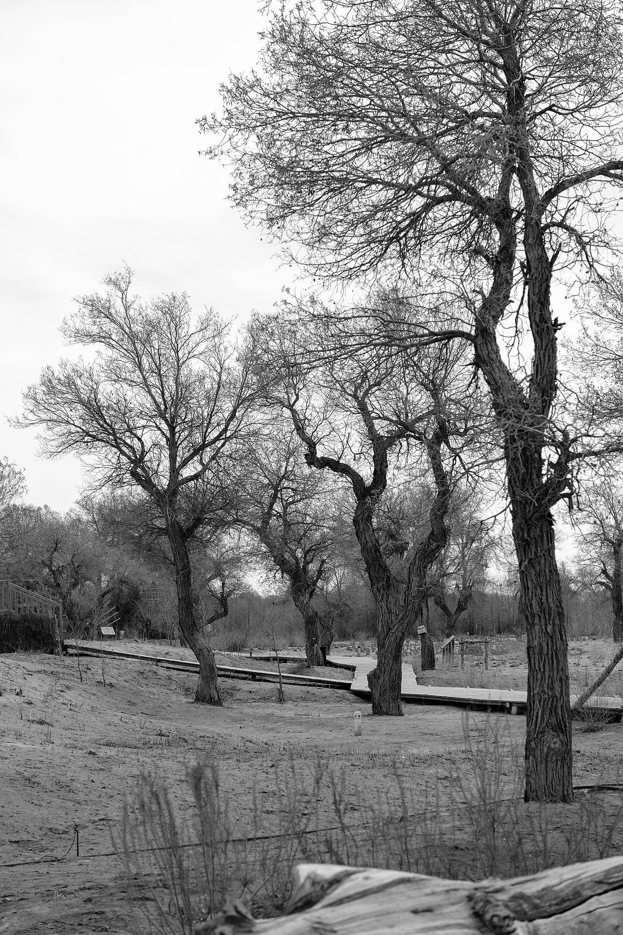 库尔勒沙漠戈壁（图ZMzY2MDc4NTk2） - 风光摄影 - 站酷设计师Dmoo1原创素材 - 站酷ZCOOL