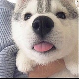 一H一的头像