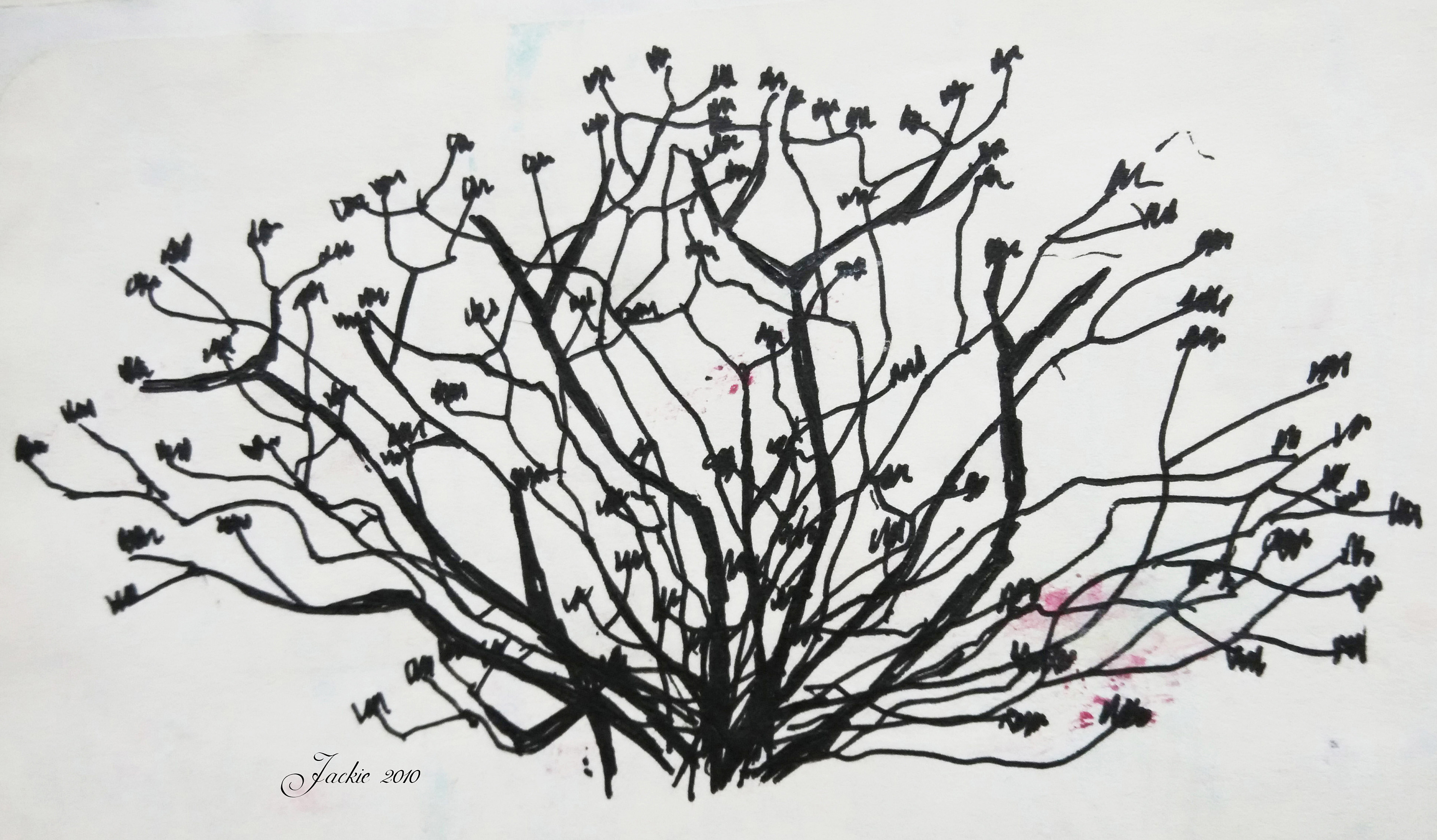 《灌木丛》手稿 2010