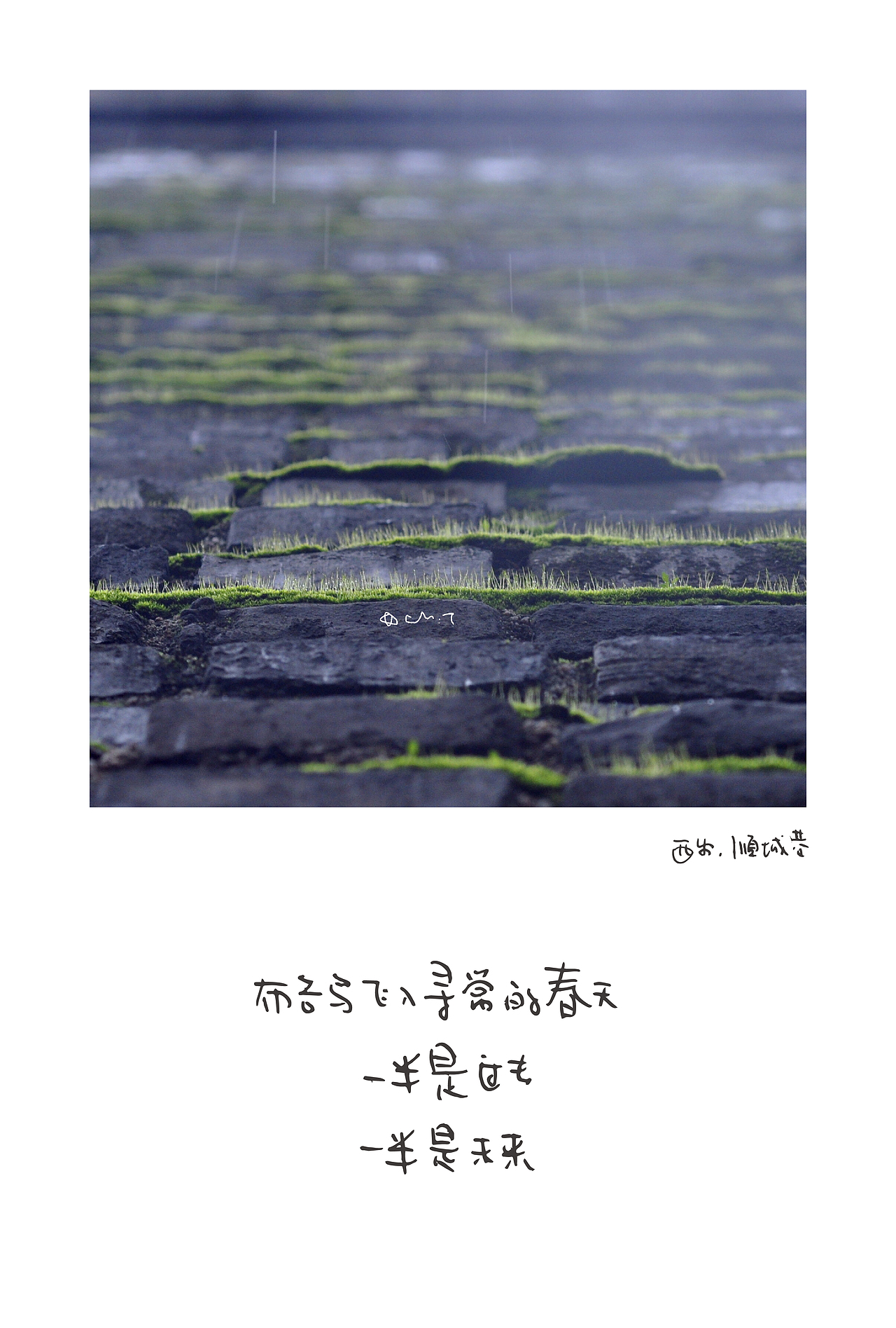 「西安 顺城巷」
布谷鸟飞入寻常的春天<br>一半是过去<br>一半是未来
