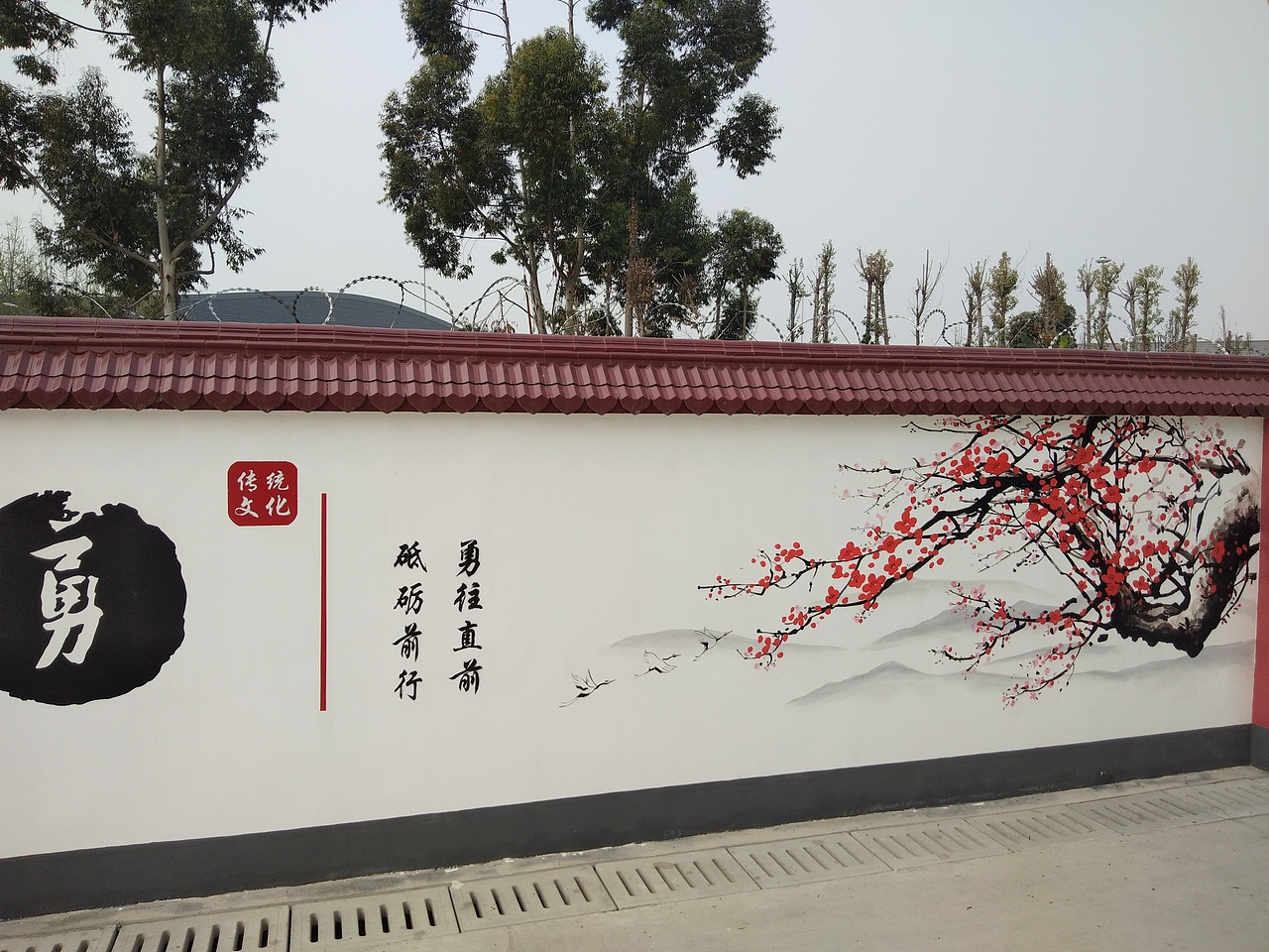 成都双流文化墙彩绘完工了！