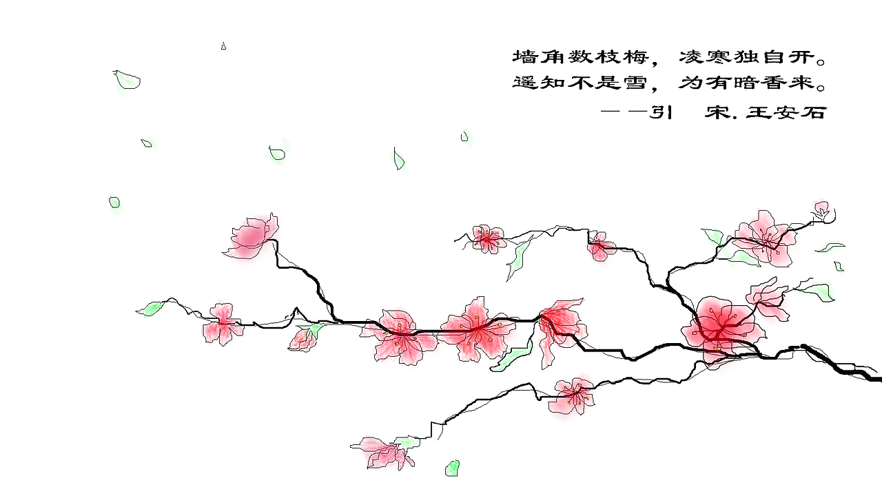 梅花  手绘风