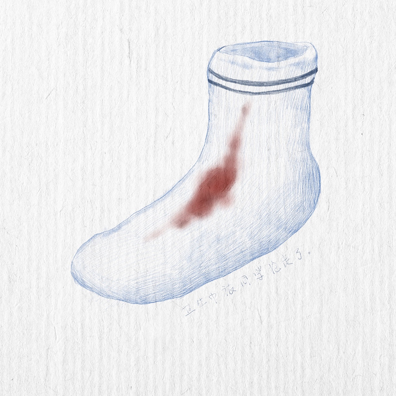 袜子百科全书 🧦