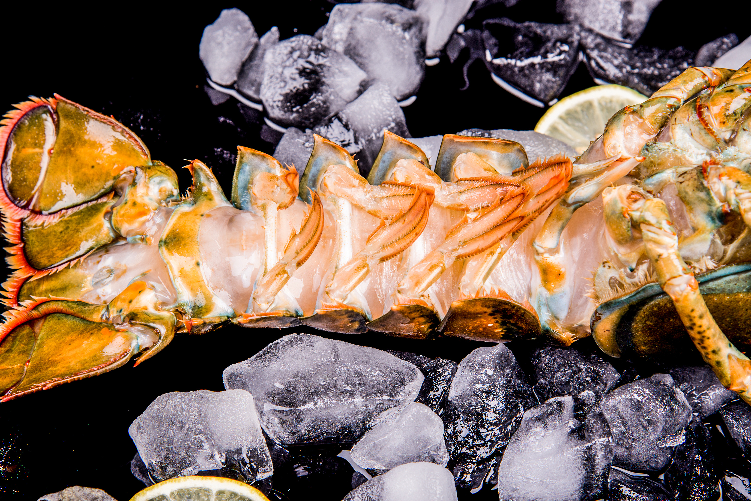 澳洲龙虾|摄影|产品摄影|洛洛爸 - 原创作品 - 站酷 (zcool)