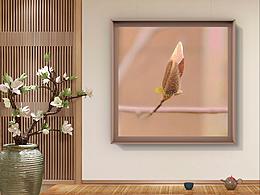 iphonegraphy｜collecting seasons ：springtime