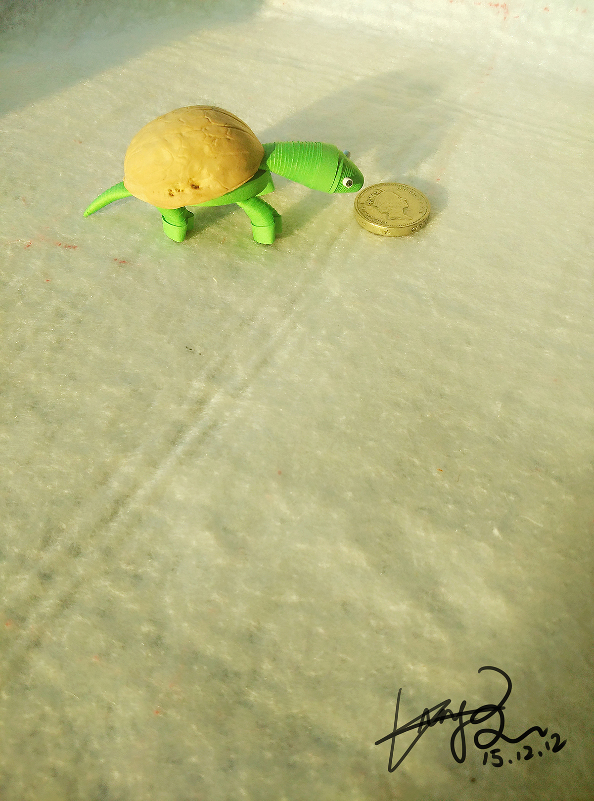 乌龟-原创,吃完核桃,就拿核桃壳做了这个,觉得挺带感的,O(∩_∩)O哈哈~