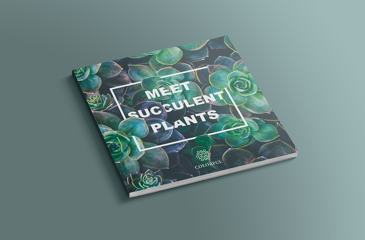 多肉植物画册