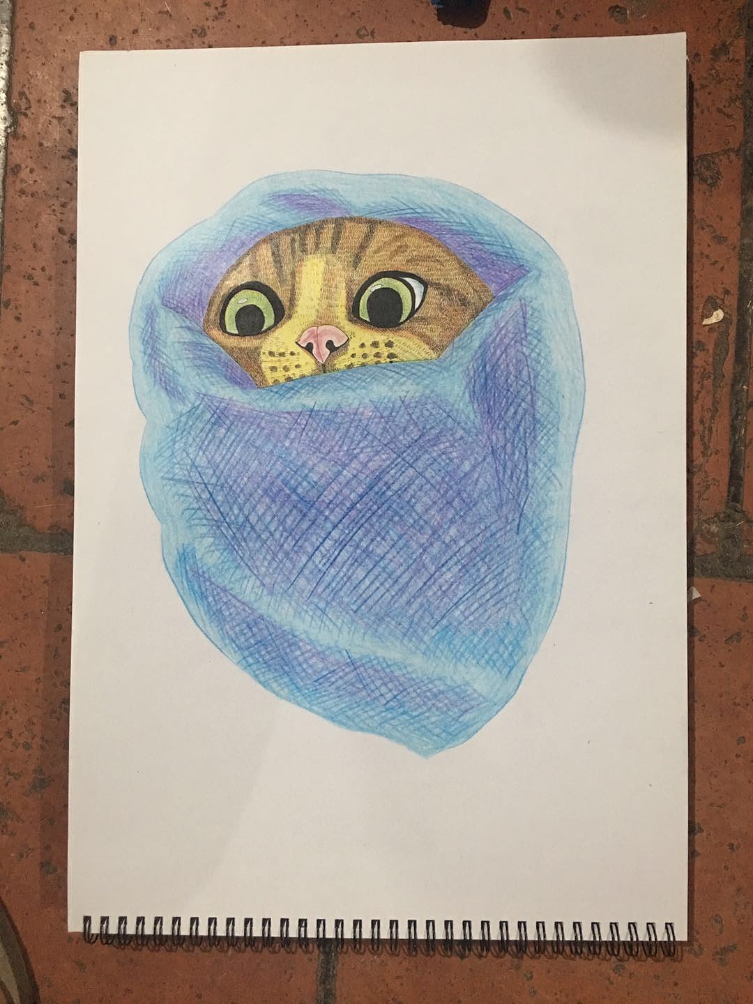 我画的【猫咪】