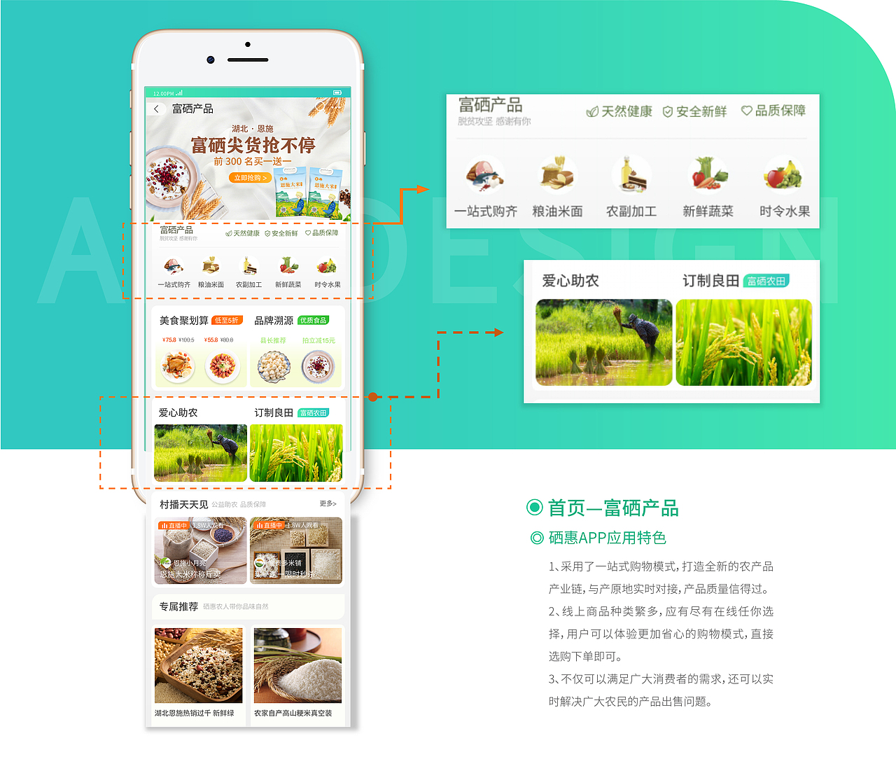 2020年度作品合集|插画|品牌|包装|UI