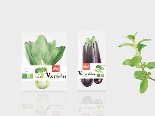 新鲜蔬菜袋装设计
