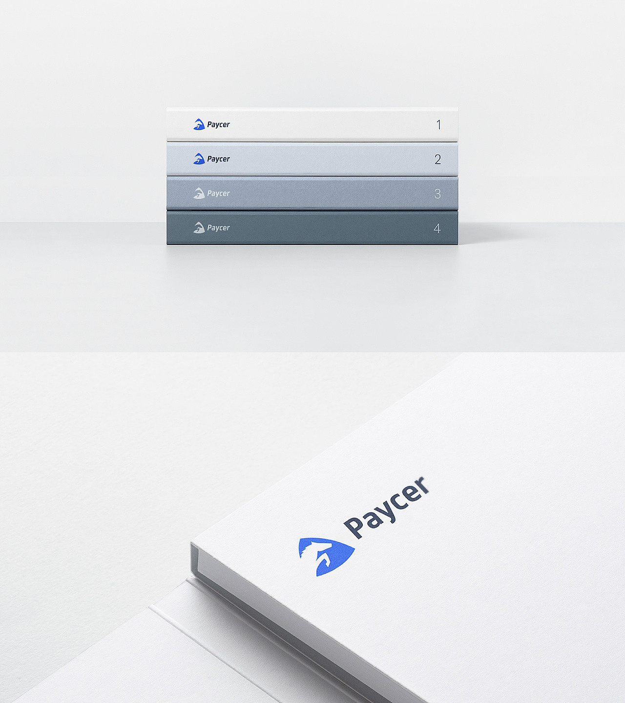 BRAND DESIGN— Paycer