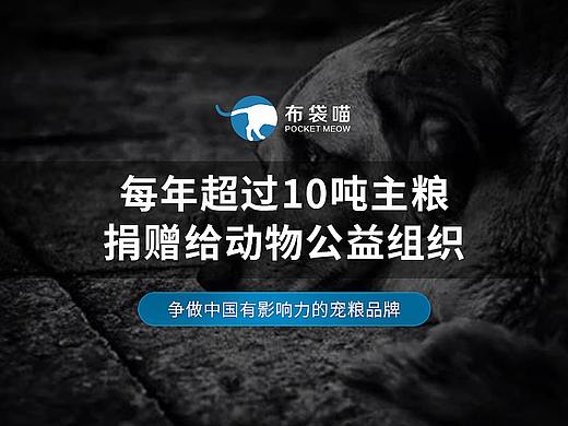 狗粮产品视觉设计-零食详情页