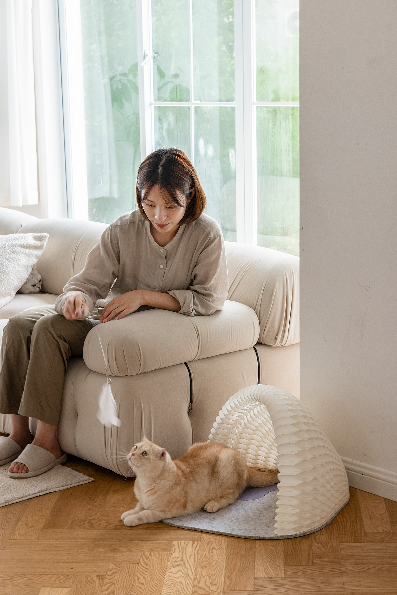 十八纸——歌剧院猫窝