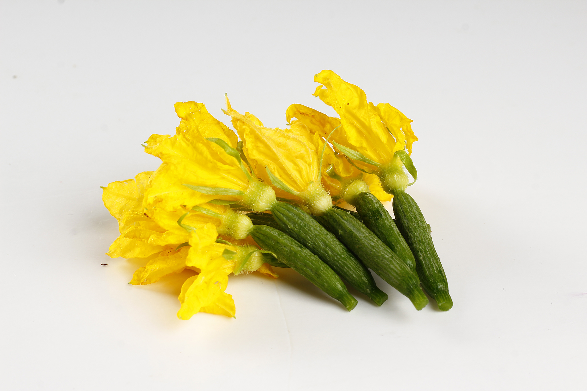 小黄瓜花部分样片丨你们不一定吃过的美食哦丨附攻略