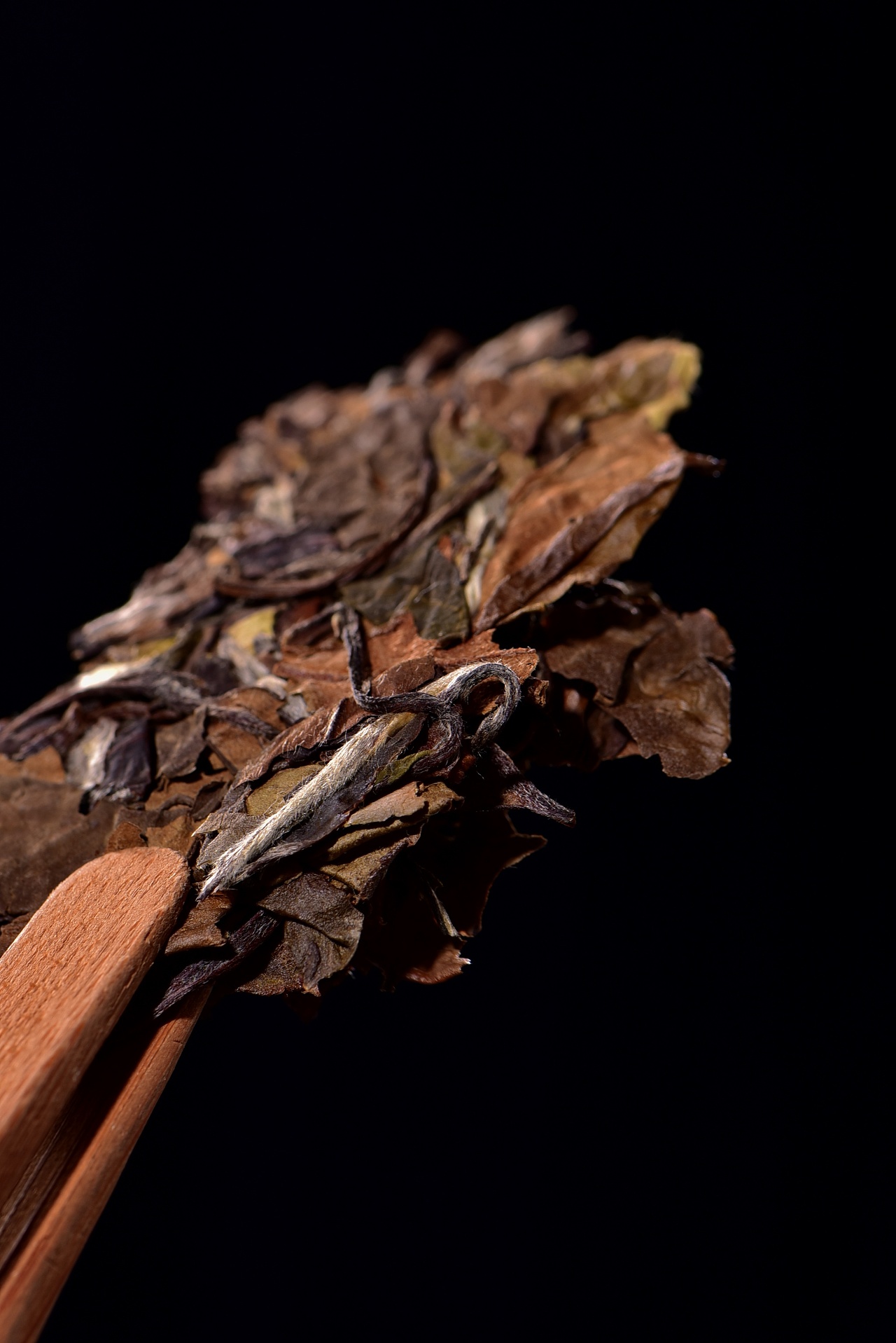 贡眉白茶-暗调拍摄.