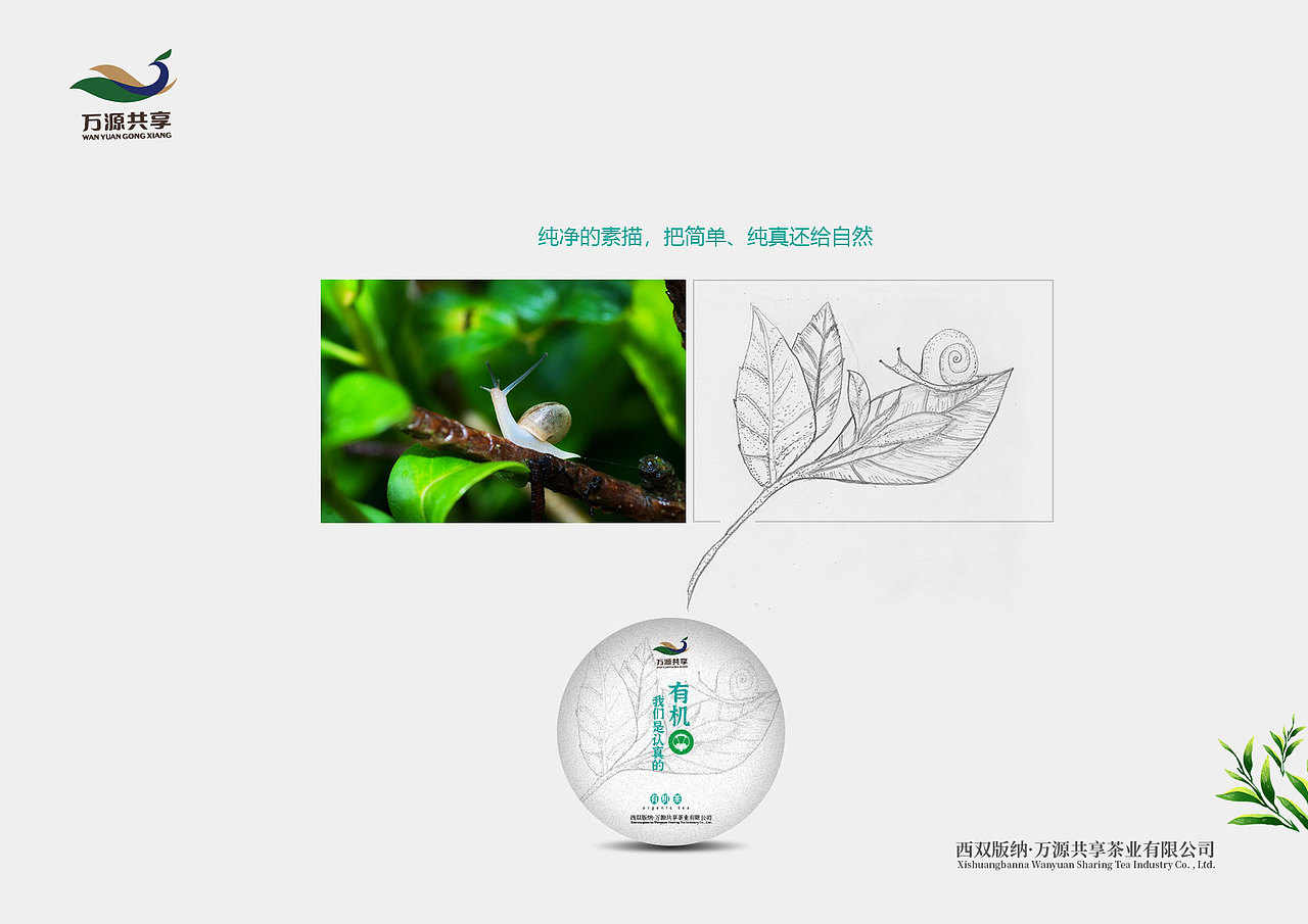一组有机茶的创作（图ZMjQ4MzY3Njky） - 包装 - 站酷设计师nina云舒原创素材 - 站酷ZCOOL