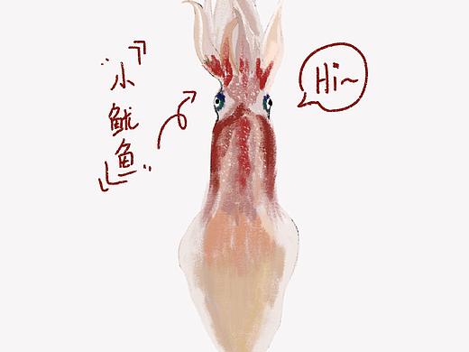 海鲜系列-鱿鱼🦑