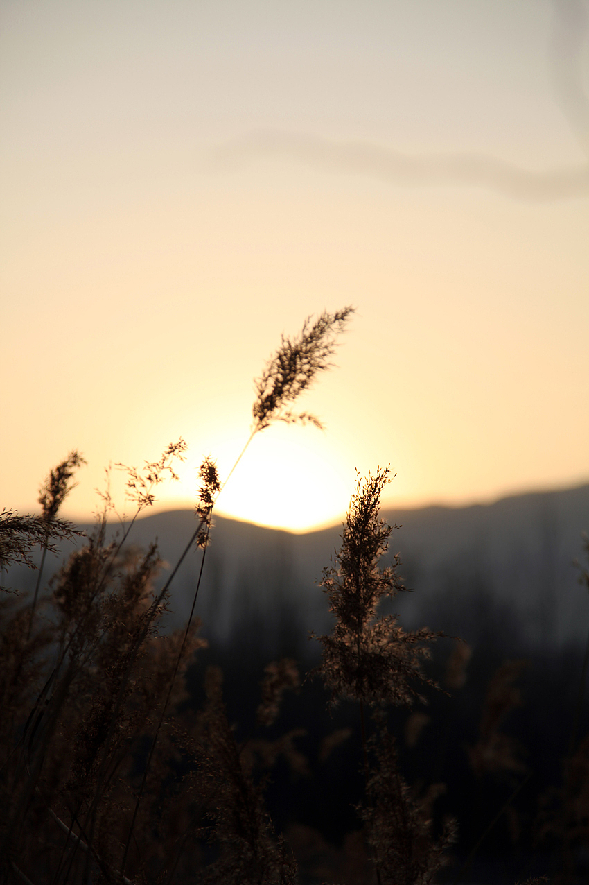 夕阳无限好，只是太短暂